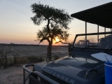 Into the Okavango (& Makgadikgadi Pans National Park)